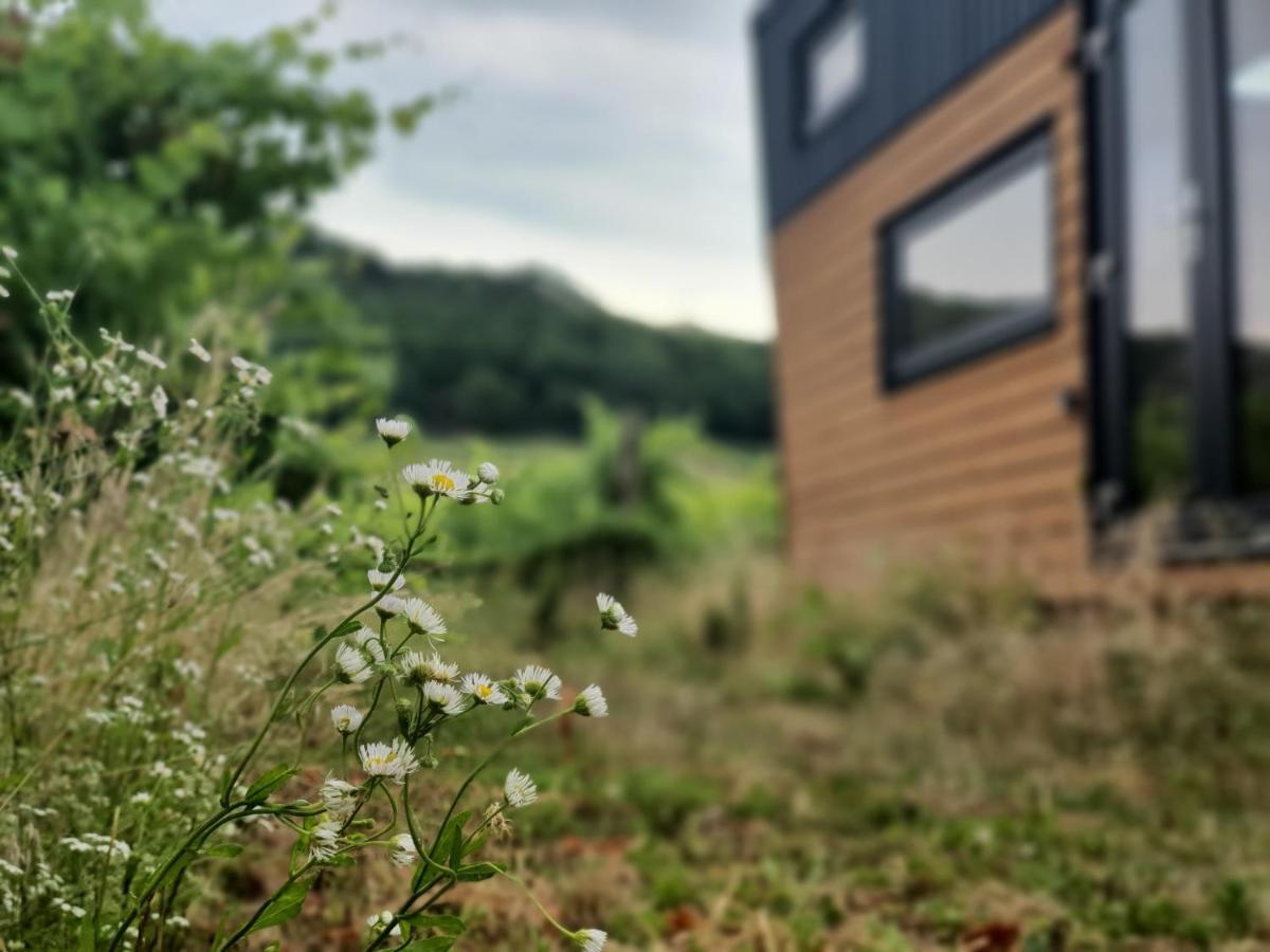 Pop Tiny House Balaton Apartamento Kaptalantoti Exterior foto